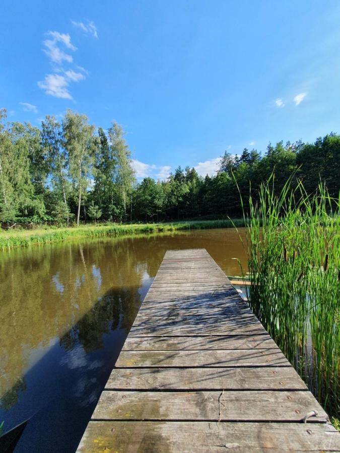 Agroturystyka Las I Woda Prazmow 外观 照片